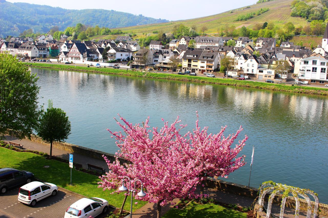Pension Adelheid Moselhype&Wine Zell Exterior foto